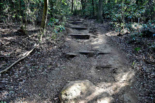 �򉤉@�R�[�X�T�|�R�W��K�i