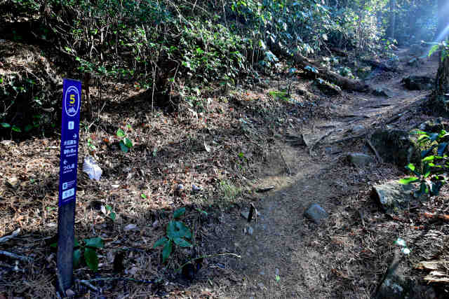 �򉤉@�R�[�X�T�|�T�W�O