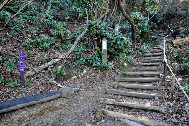 �򉤉@�R�[�X�T�|�U�W�O