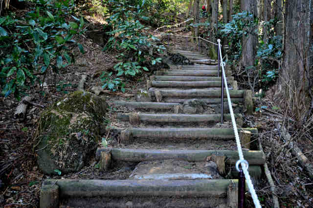 �򉤉@�R�[�X�T�|�U��K�i