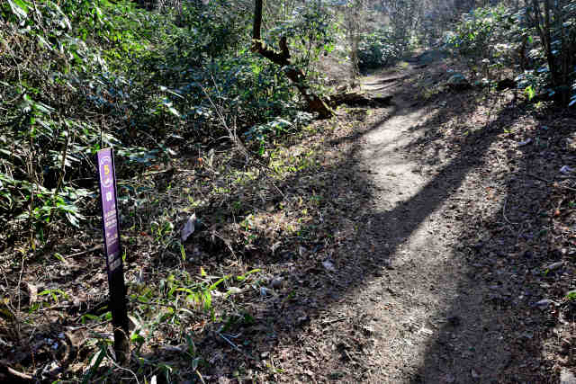 �򉤉@�R�[�X�T�|�V�W�O