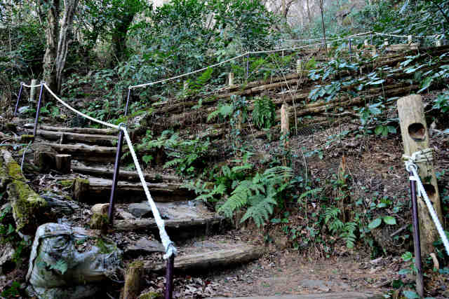 �򉤉@�R�[�X��\��܂�J�n