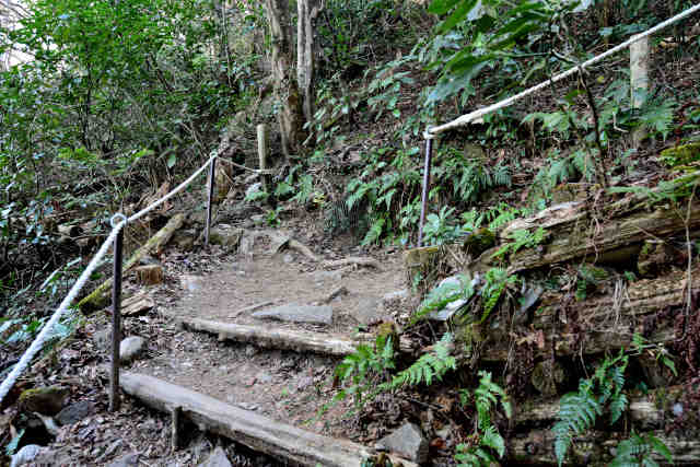 �򉤉@�R�[�X��\��܂�P