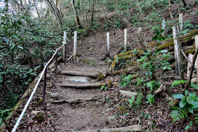 �򉤉@�R�[�X��\��܂�R