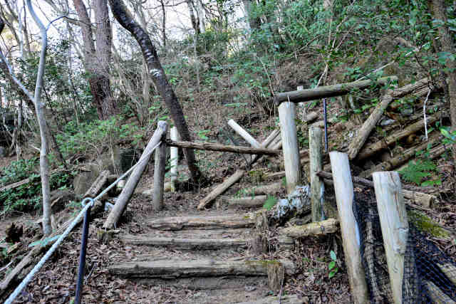 �򉤉@�R�[�X��\��܂�T