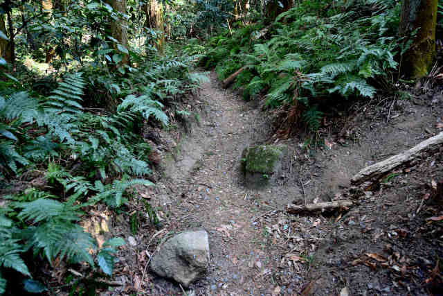 �򉤉@�R�[�X��E�J�[�u�܂�Ԃ�