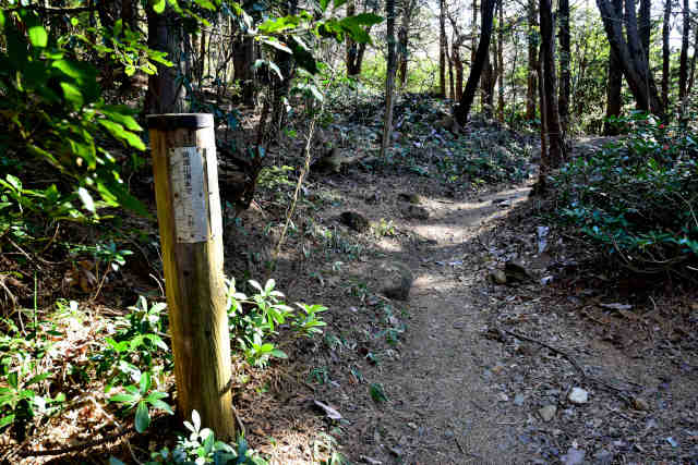 �򉤉@�R�[�X�ē��W