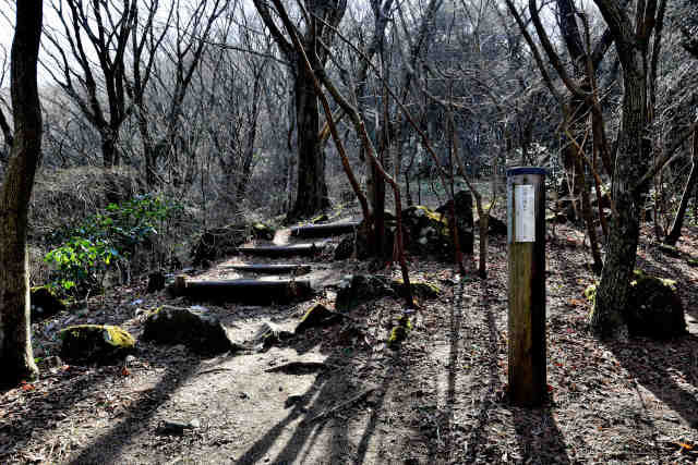 �򉤉@�R�[�X