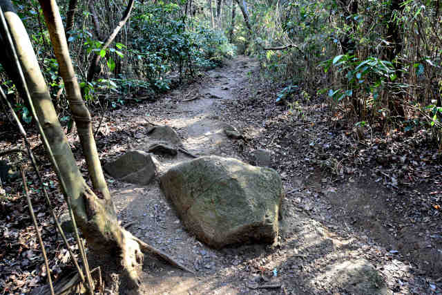 �򉤉@�R�[�X�o�R����