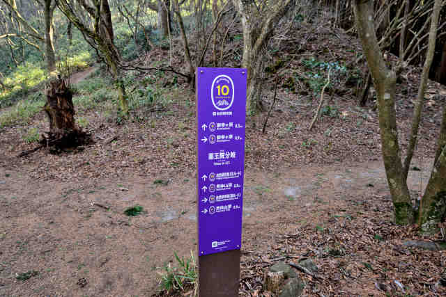 �򉤉@�R�[�X���R�����H�ē���