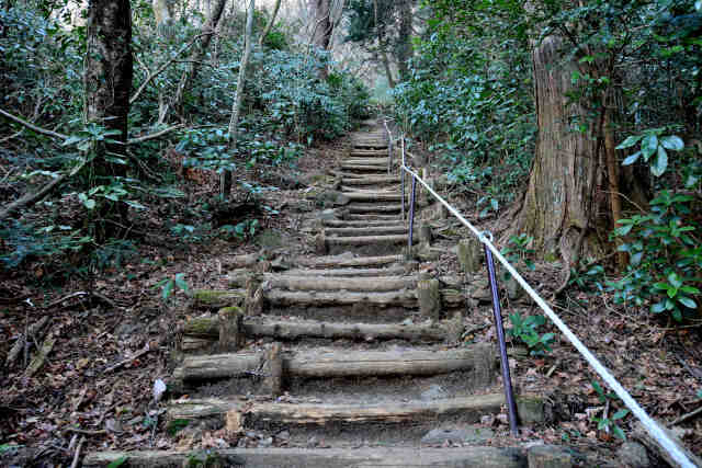 �򉤉@�R�[�X�����K�i