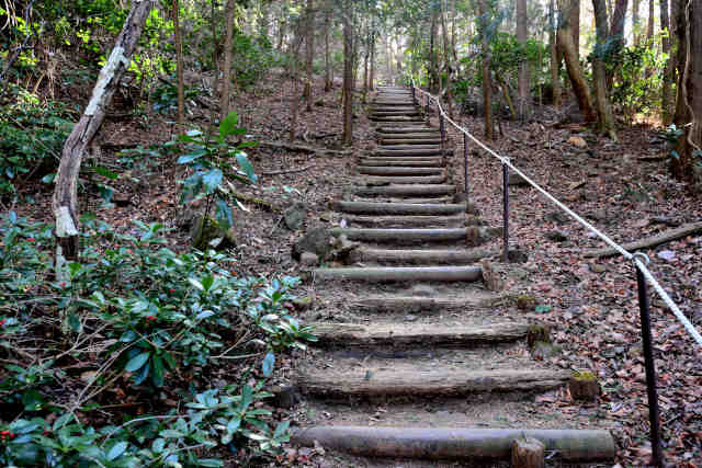 �򉤉@�R�[�X�A���I��