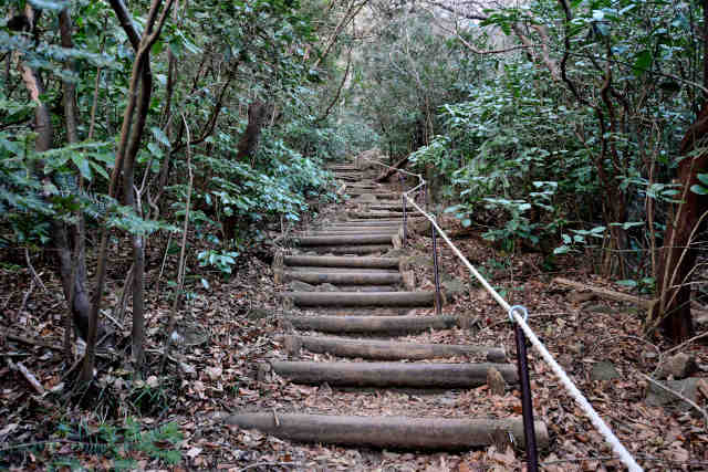 �򉤉@�R�[�X�������K�i