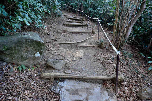 �򉤉@�R�[�X�K�i�n