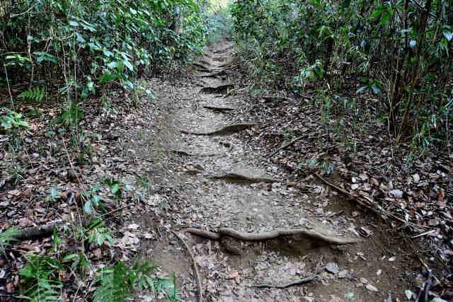 �򉤉@�R�[�X���K�i