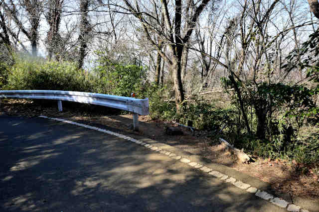 �򉤉@�R�[�X�ѓ����ѓ��o��