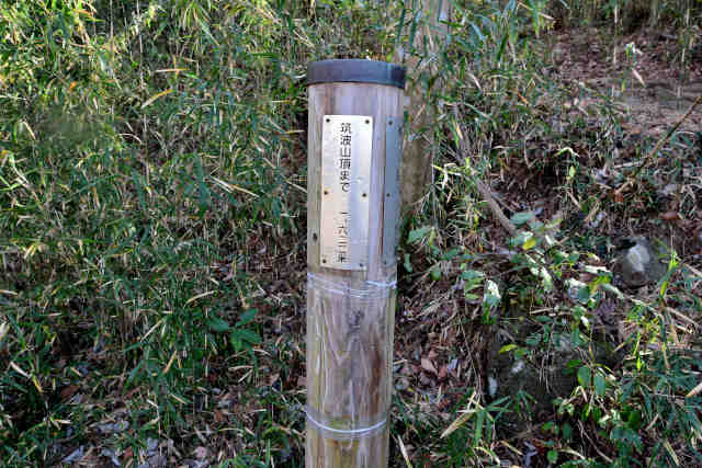 �򉤉@�R�[�X�ѓ���o�R���W