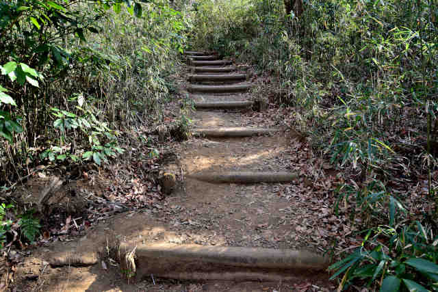 �򉤉@�R�[�X�ѓ���O�K�i