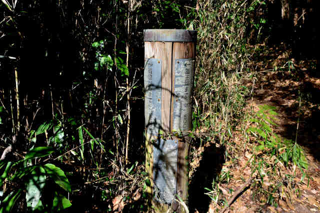 �򉤉@�R�[�X�Ŕ��R����ē��W