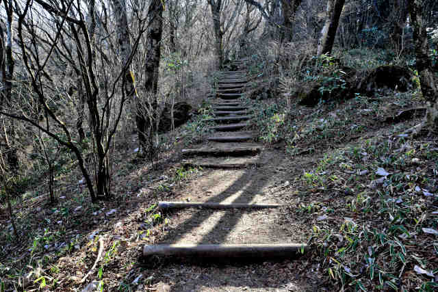 �򉤉@�R�[�X�Ō�K�i