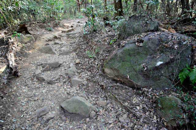 �򉤉@�R�[�X�E���