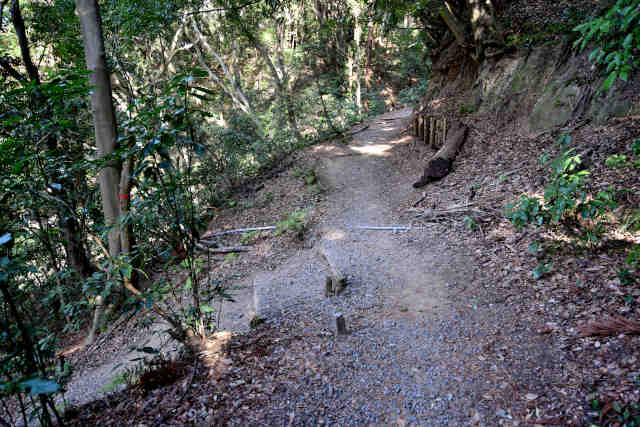 �򉤉@�R�[�X�򉤉@�e�o�R������