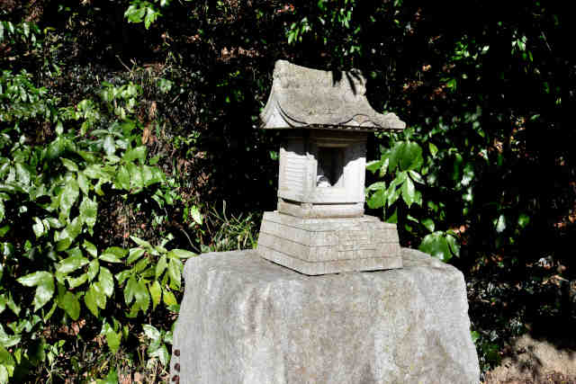 �򉤉@�R�[�X�o�R����