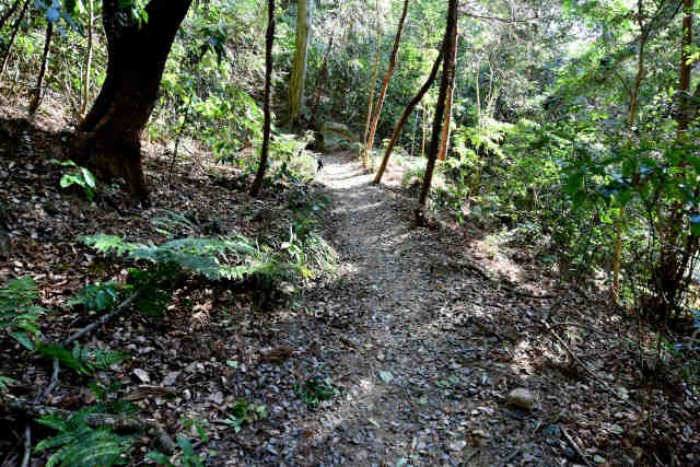 �򉤉@�e������o�R��