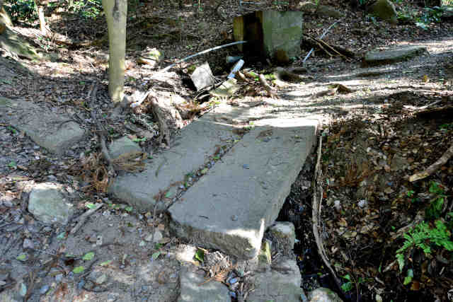 �򉤉@�e�����拴