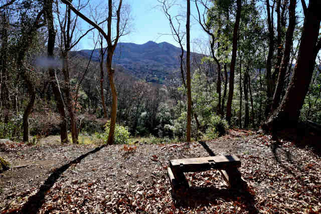 �������Ւ}�g�R