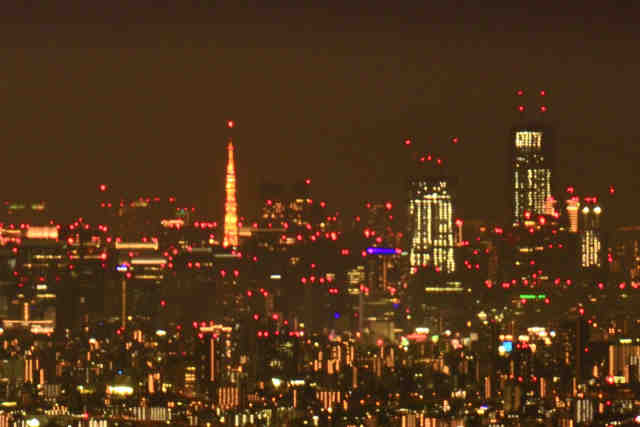 東京タワー夜景山頂