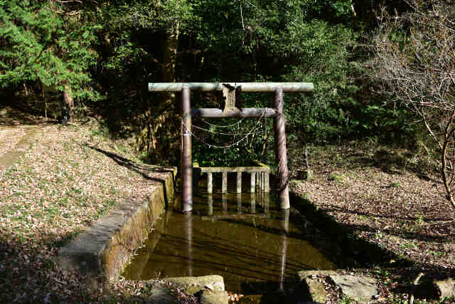 椎井池