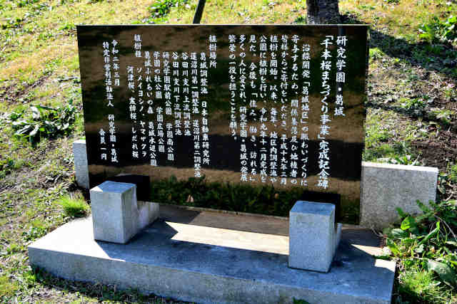 �����w����{�������L�O��