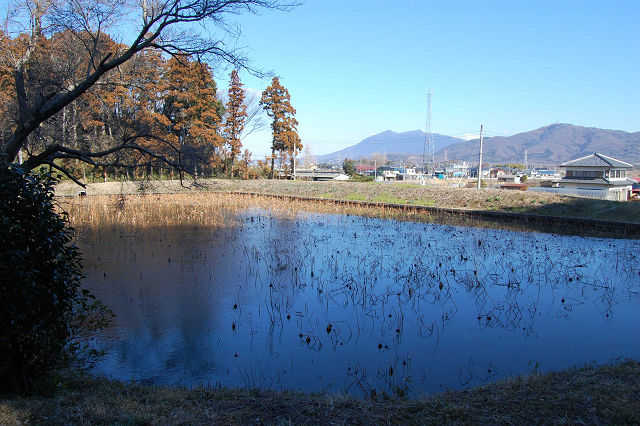 上野池