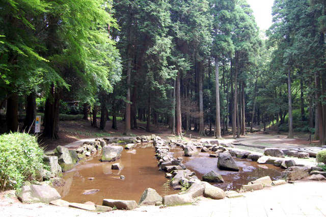 森林公園池