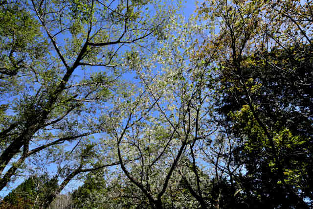 ��⸎R���X