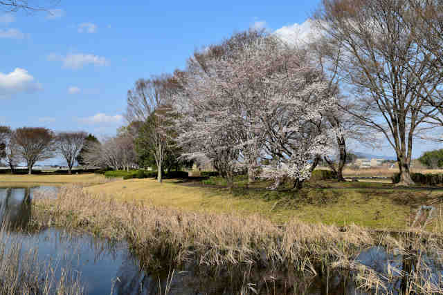 ��R������