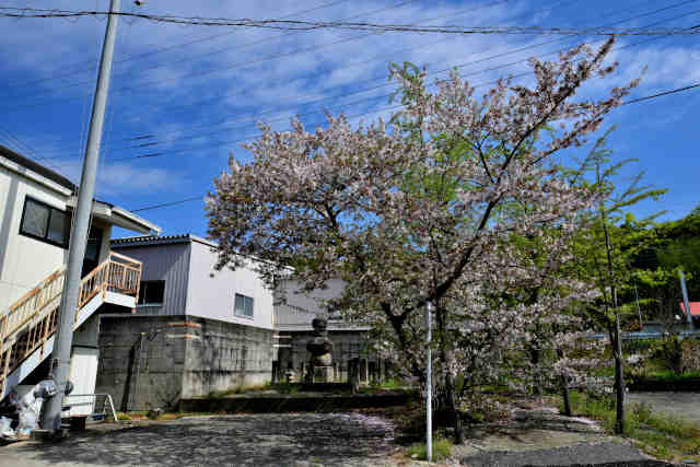 �����@�Α��ܗ֓���