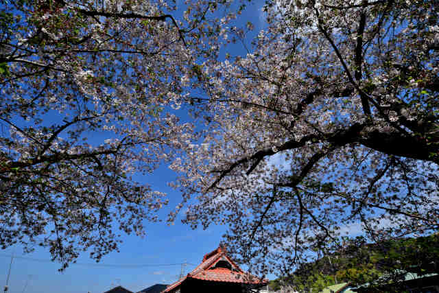 �����@��