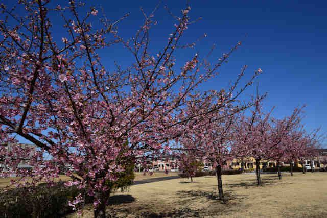 �w���L������͒Í�