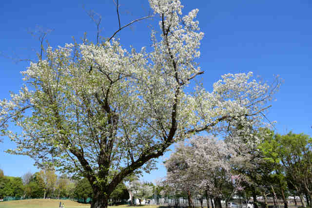 �H��������