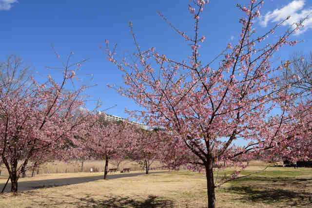 �����w���w�O�����͒Í�