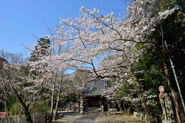 nRt
