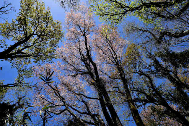 ��⸎R���c���