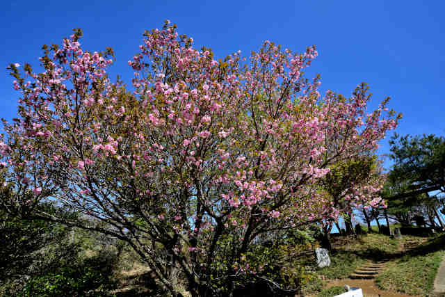 ��⸎R����