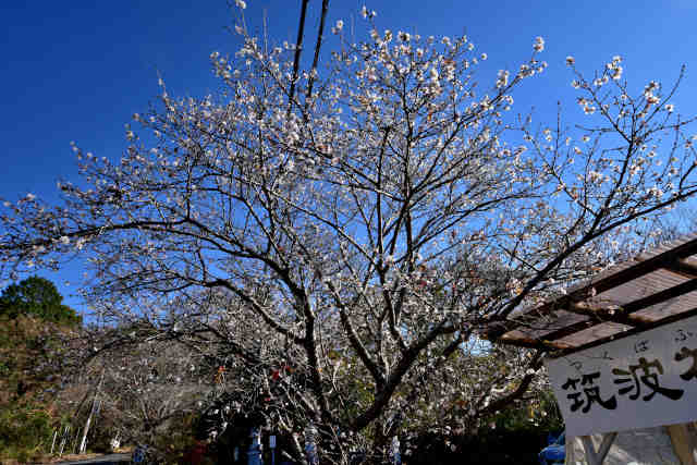 �}�g�R�~�R��