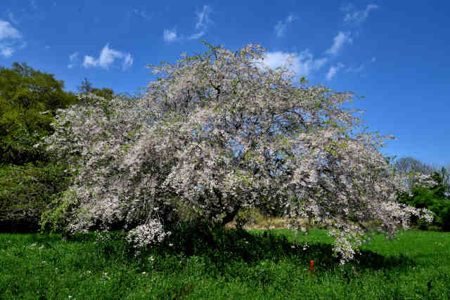 ���_�R�~���j�e�B������