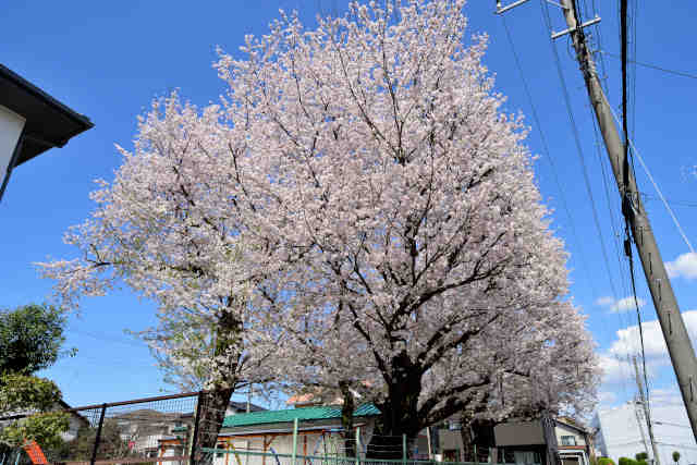 Rw䓌