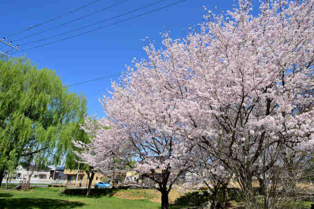 Ȃ