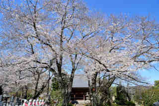 i䎛